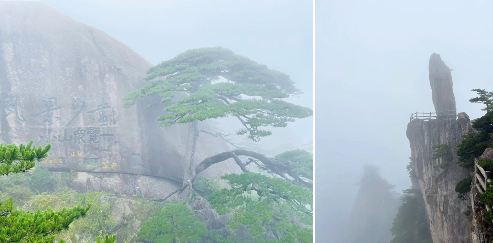 1662691505857368.jpg 1-1.jpg