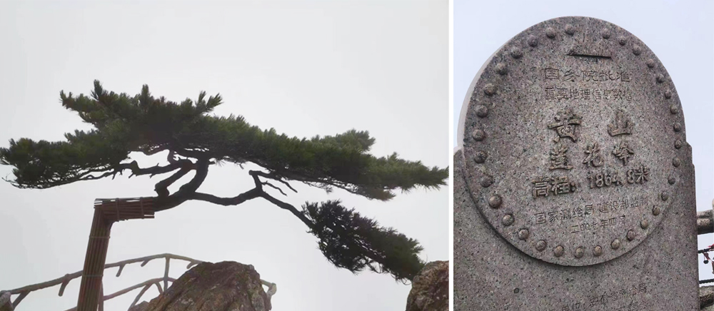 1662691516308652.jpg 1-2.jpg