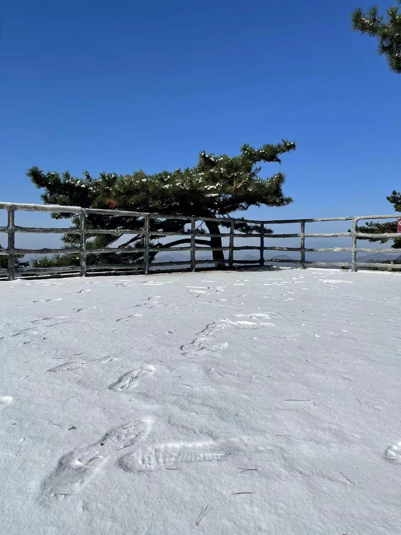 1671439324677545.jpg 微信圖片_20221219092810.jpg