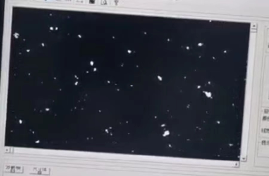 1680752473887991.png 圖片3.png